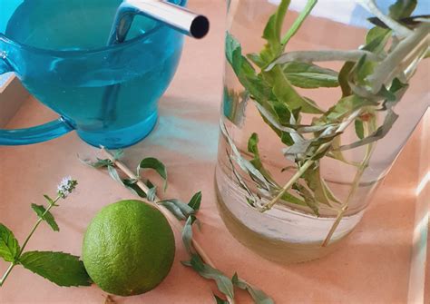 Agua fresca con menta, burrito y cedrón 🌿 Receta de @saboresculturales ...