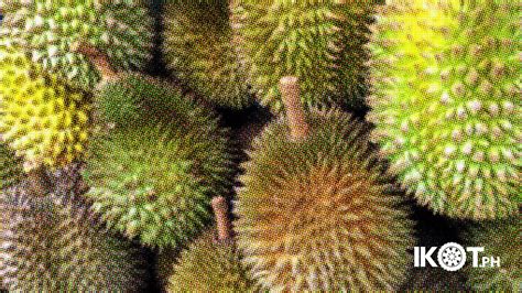 PH STARTS EXPORT OF DAVAO DURIAN TO CHINA SOON — IKOT.PH