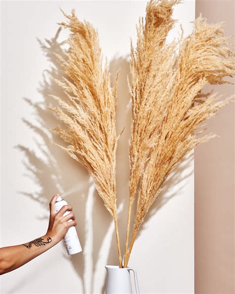 Pampas Grass Decorating Idea - Decor Trend | Apartment Therapy