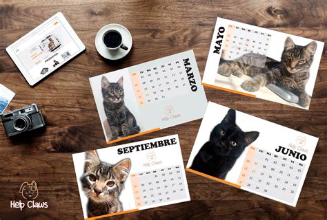 Calendario Personalizado 12 Fotos 19,5 X 12,5 cm – helpclaws.com