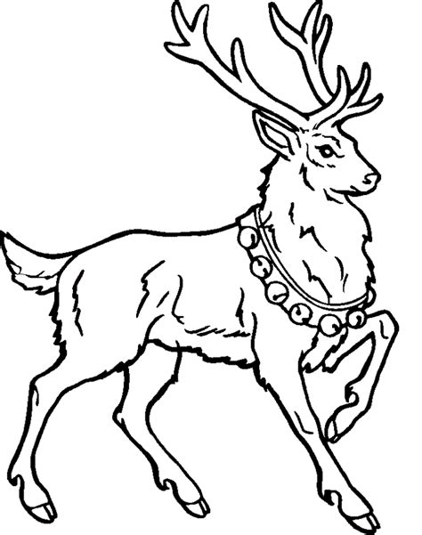 Free Printable Reindeer Coloring Pages For Kids