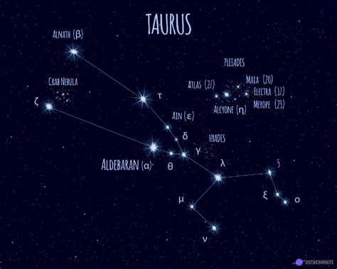 ALL 88 Star Constellations (+ Names & Meanings & Pictures)