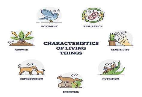 CHARACTERISTICS OF LIVING ORGANISMS