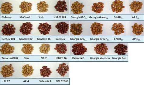 IJMS | Free Full-Text | Peanut Skin Color: A Biomarker for Total Polyphenolic Content and ...