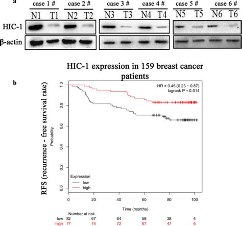 HIC-1 was downregulated in human breast cancer tissue specimens,... | Download Scientific Diagram