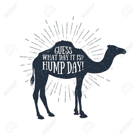 hump day camel clipart 10 free Cliparts | Download images on Clipground ...