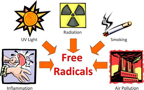 9.11 Free Radicals & Oxidative Stress | Nutrition