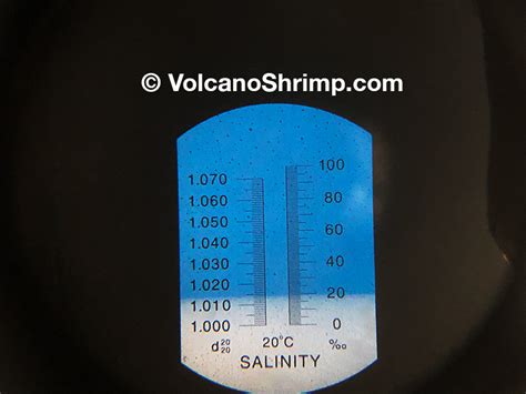 Water Salinity Chart