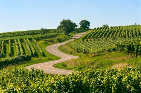 Zu Besuch im wunderschönen Elsass | Urlaubsguru.de