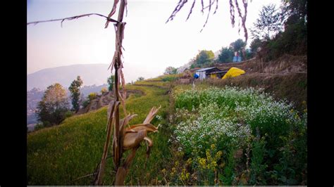 Nagarkot | Nature walk and Panoramic Hiking Trail - YouTube