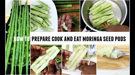 Moringa Oleifera Seed Pods Drumstick Tree Pods How To Prepare Cook And Eat Superfood - YouTube