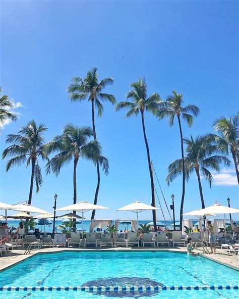 Moana Surfrider on Instagram: “Poolside with a side of paradise ...