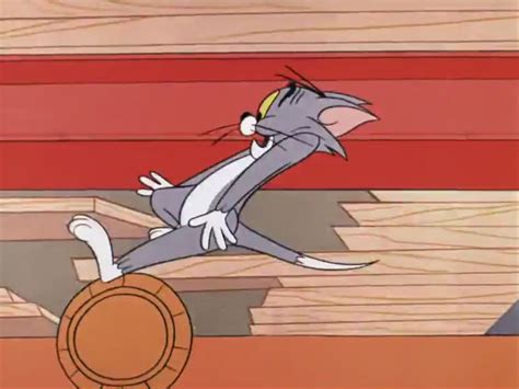 Chasing: Tom and Jerry Cartoon Images | Tom and Jerry Chasing Scene ...