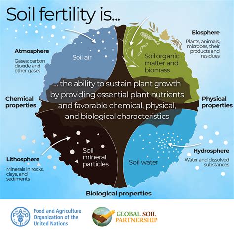 Fertile Soil