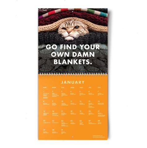 2023 Pissed-off Cats Calendar / Funny Cat Wall Calendar - Etsy Canada