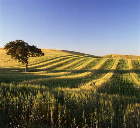 Alentejo - one of the most beautiful regions of Portugal: Janeiro 2013