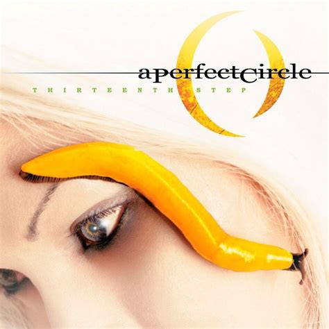 Thirteenth Step von A Perfect Circle - CeDe.ch