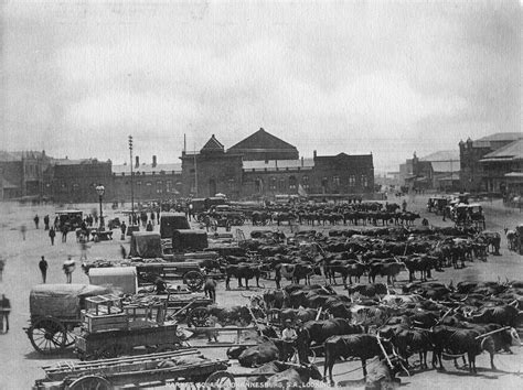 Johannesburg, 1903. Market Square. - Atom site for DRISA