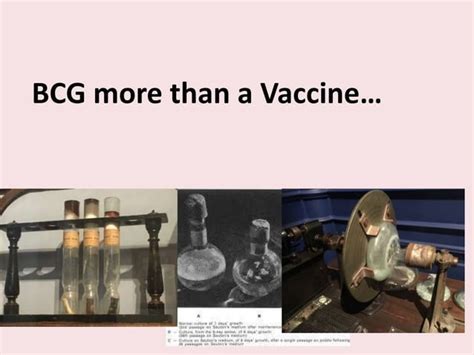 H.Bercovier BCG more than a vaccine.... november 2019 | PPT