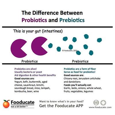 Prebiotics vs Probiotics – Part 1 | Neocate