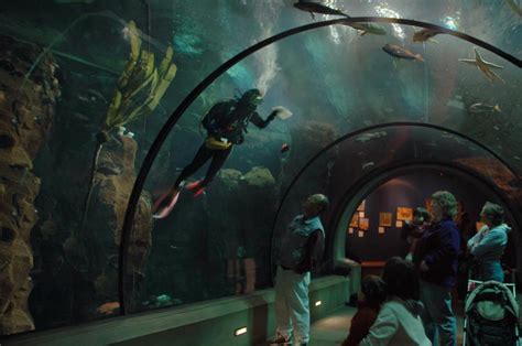 Oregon Coast Aquarium - Oregon Coast Aquarium