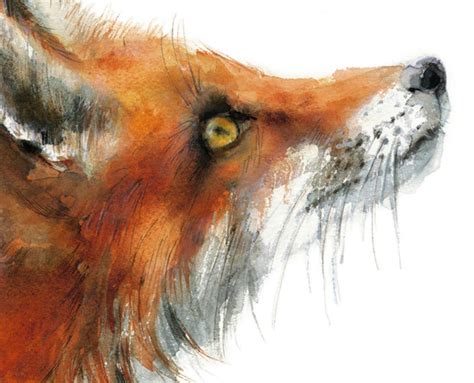 Fox Watercolor Painting Woodland Fox Print Fox Illustration - Etsy UK