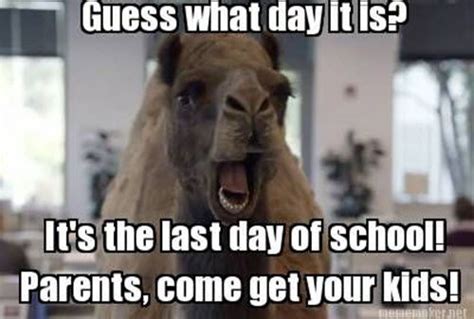 25 Best Memes About The Last Day Of School | SayingImages.com in 2021 | Last day of school ...