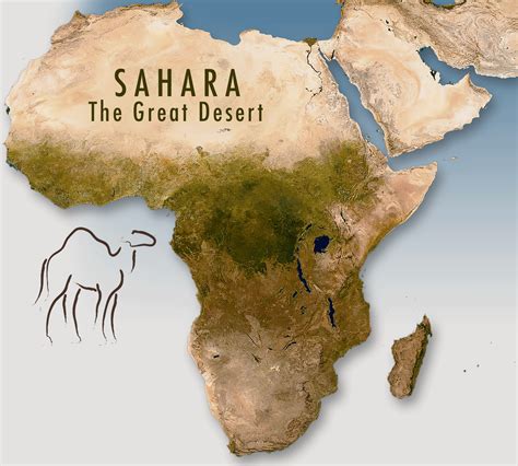 Africa Sahara Desert Animals