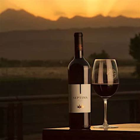 Best Argentinian Wine - Top 100 Wine Brands | WikiliQ®