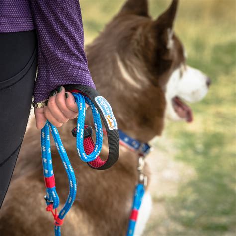 Best Dog Leashes Reviews – A Guide to Choosing the Perfect Leash!