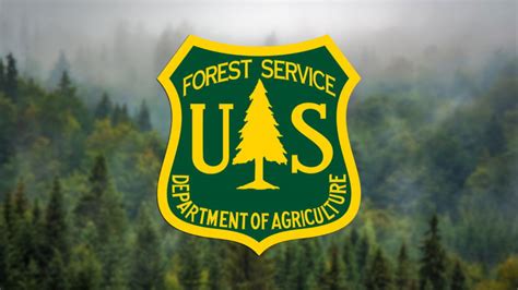 Los Padres National Forest among forests set to temporarily close due ...