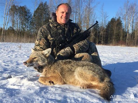 Hunting Coyote in Canada | AfricaHunting.com