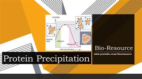 Protein Precipitation - Types, Methods, Principle, Advantages and Disadvantages - YouTube