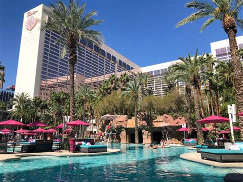 Flamingo Pool: Go Pool & Beach Club One of the Best Pools in Las Vegas