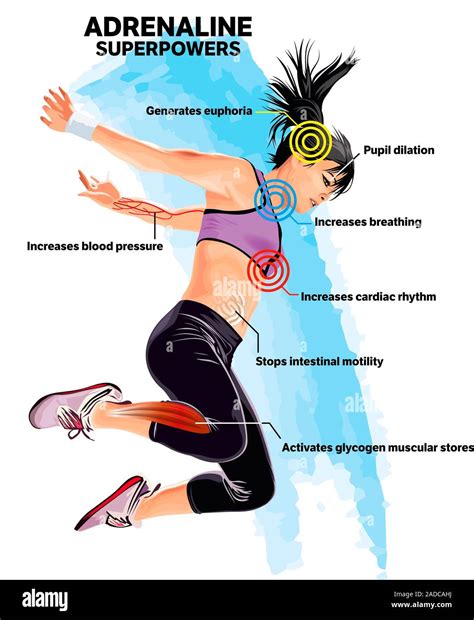 Adrenaline superpowers, illustration. The hormone and neurotransmitter ...