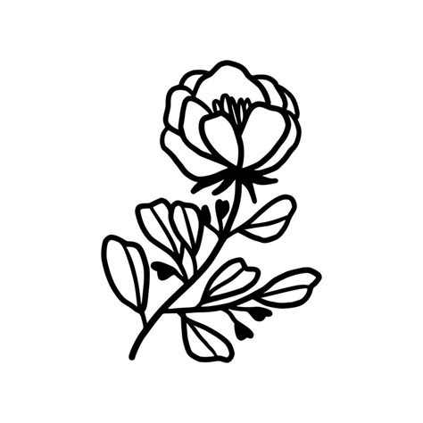 Vintage hand drawn peony flower line art vector element 34957170 Vector ...