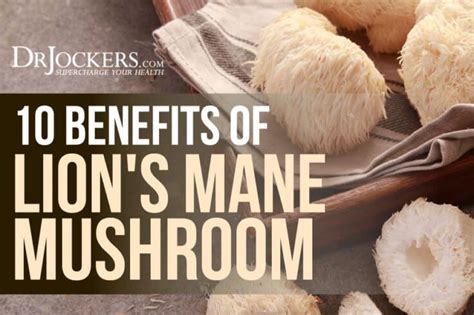 10 Benefits of Lion's Mane Mushroom | Lion mane, Lions mane mushroom ...