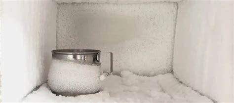 3 Easy Freezer Maintenance Tips | West Coast Chief Repair