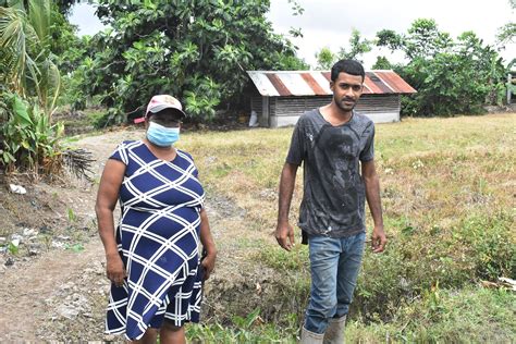 The Persauds: A family of teachers, a family of farmers - Stabroek News