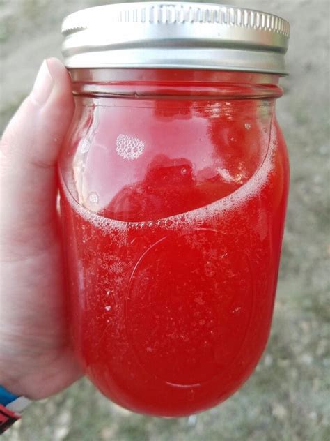 Watermelon Moonshine Recipe With Everclear | Bryont Rugs and Livings