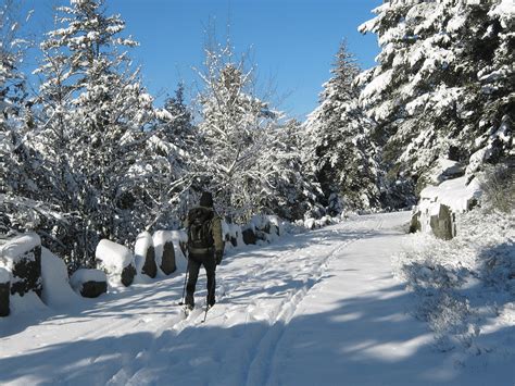 Winter a secret wonderland in Acadia National Park