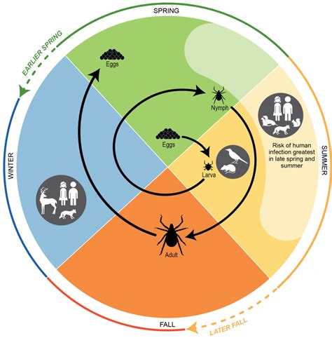 Chapter 5: Vector-Borne Diseases | Climate and Health Assessment