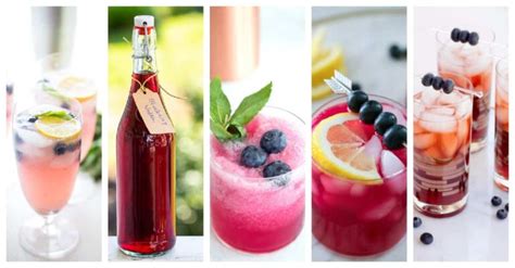 25+ Best Blueberry Vodka Drinks and Cocktail Recipes