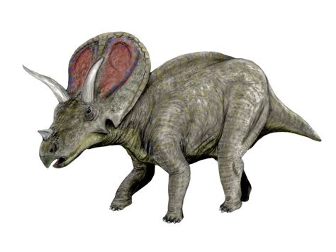 10 Intriguing Facts About the Triceratops