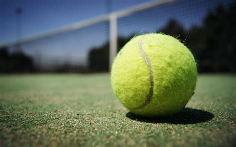 Fuzzy Yellow Tennis Ball Free Stock Photo - Public Domain Pictures