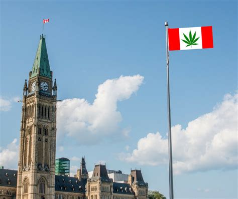 NORML Canada Testifies In Parliament On Impending Legalization | NORML Blog, Marijuana Law Reform