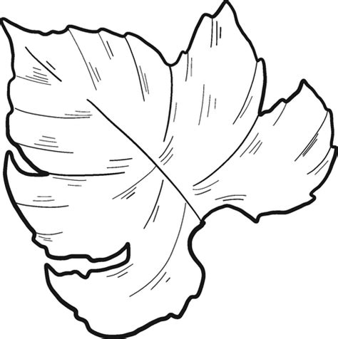 Coloriage - Feuille de vigne | Coloriages à imprimer gratuits