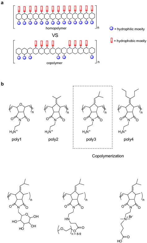 (a) Representative diagram of the types of polymer: homopolymer and ...