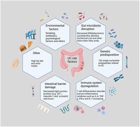 Frontiers | Probiotics for the treatment of ulcerative colitis: a review of experimental ...