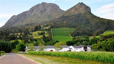 Full-Day Cape Winelands Tour